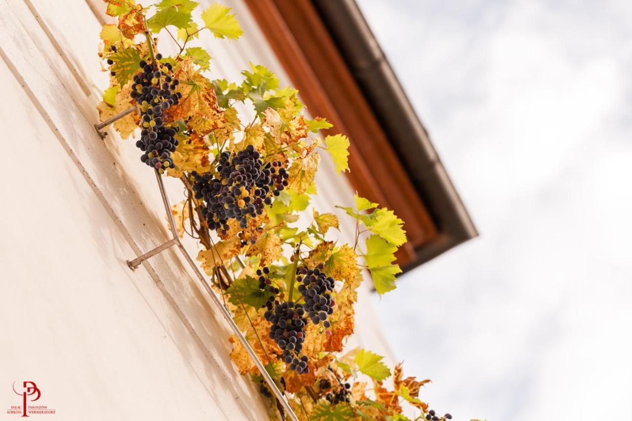 Palac Pakoszow Schlosshotel Wernersdorf เยเลเนียกูรา ภายนอก รูปภาพ Vineyards in the village of Saint-André-de-Valzach