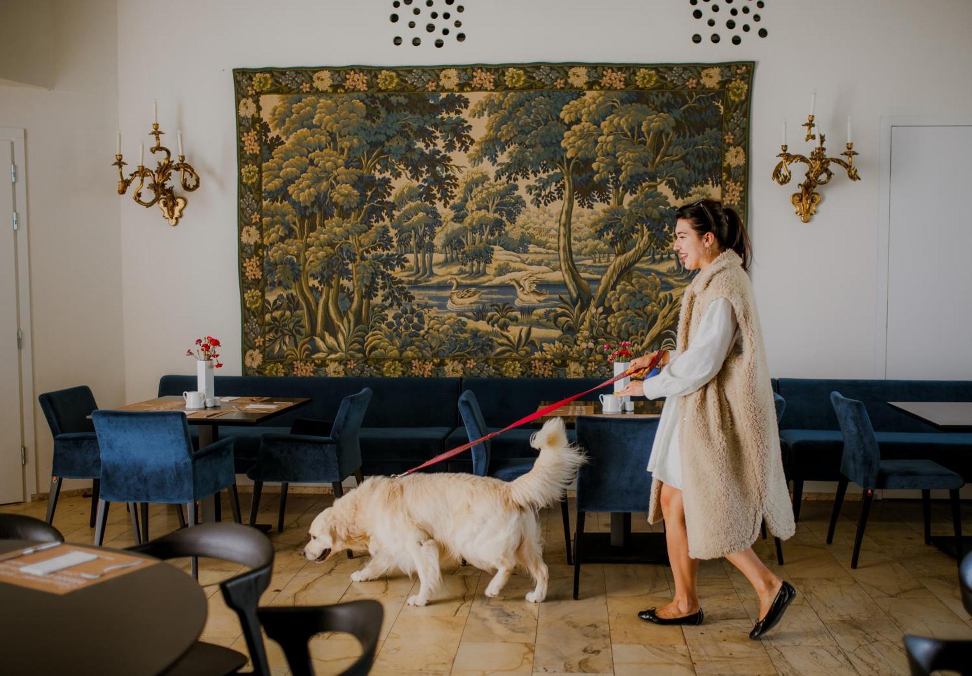 Palac Pakoszow Schlosshotel Wernersdorf เยเลเนียกูรา ภายนอก รูปภาพ The interior of the restaurant